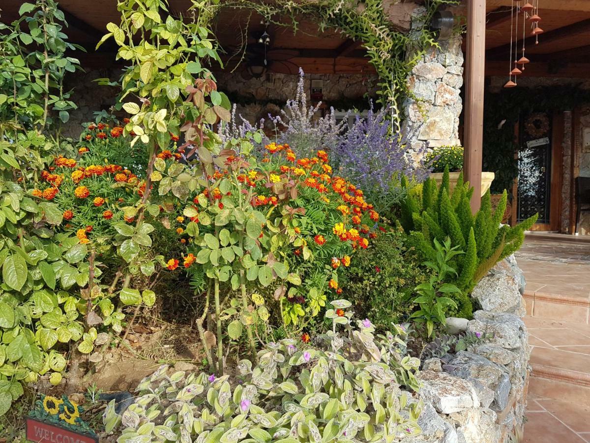 Nadia'S Traditional Greek House Anavyssos Esterno foto