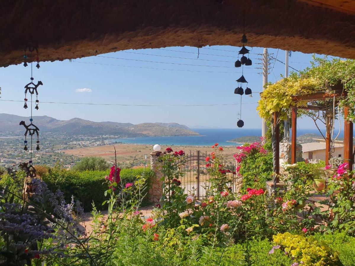 Nadia'S Traditional Greek House Anavyssos Esterno foto